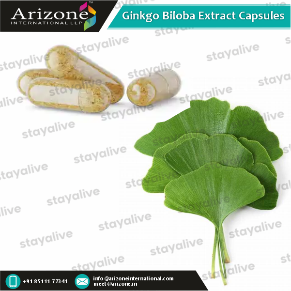 Ginkgo Biloba Extract Capsules Age Group: For Adults