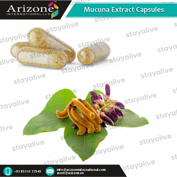 Mucuna Extract Capsules Age Group: For Adults