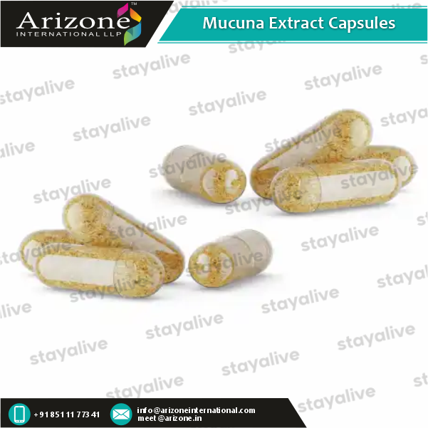 Mucuna Extract Capsules Age Group: For Adults