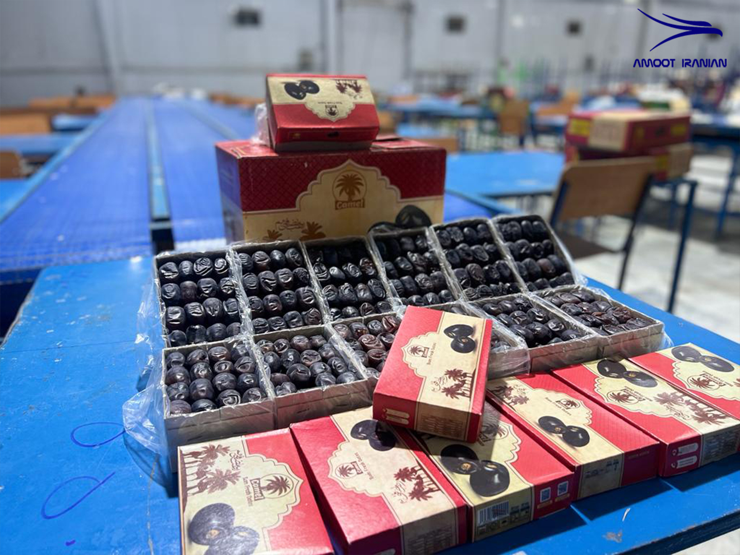 Mazafati Dates