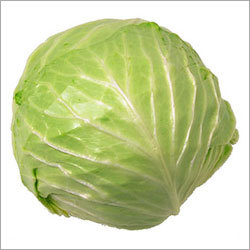 Cooking Green Cabbage