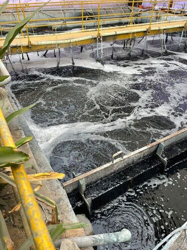 ETP और STP संचालन और रखरखाव सेवाएँ