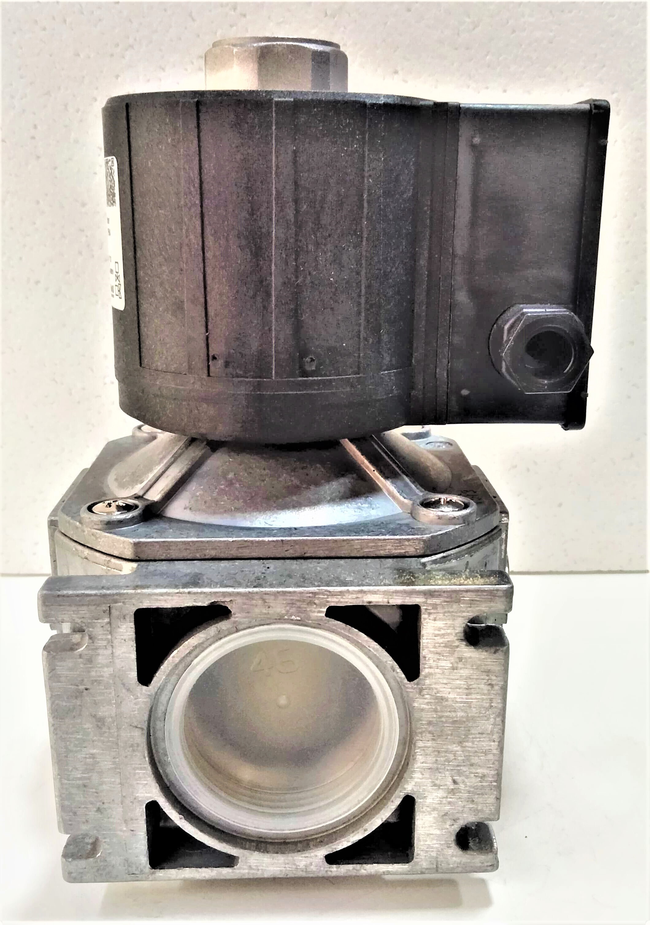 Brahma Eg40sr Gmo - Color: Black And Silver