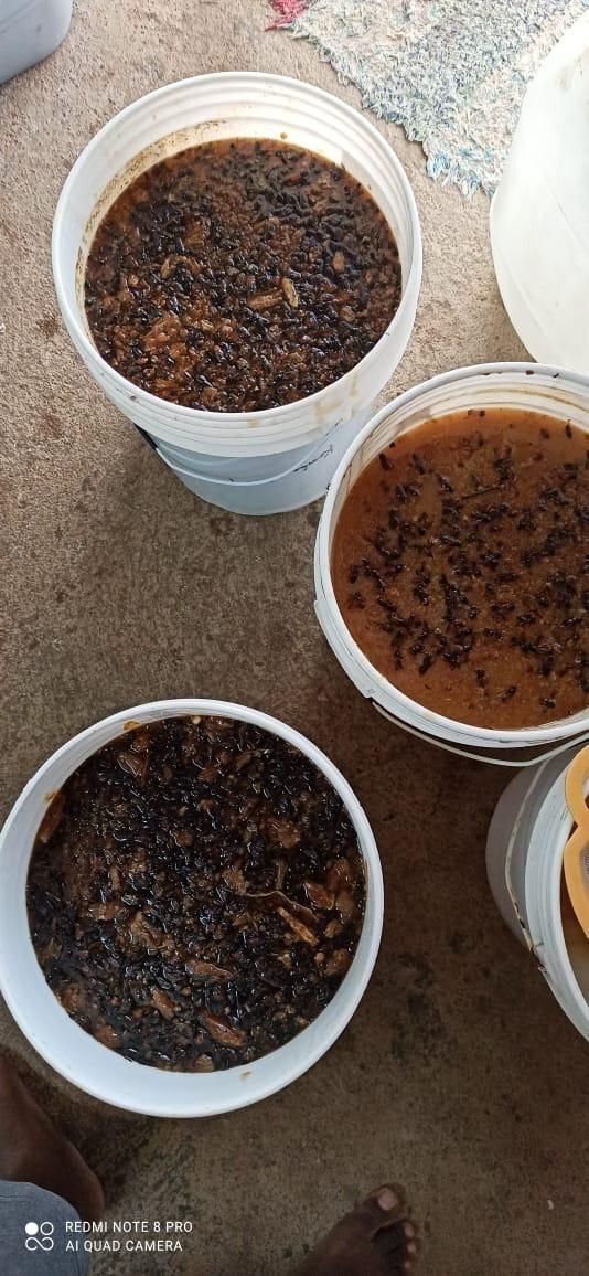 Raw Wild Forest Honey - 100% Pure Liquid, Moisture: 15.5%, Shelf Life: 24 Months | No Additives, Forest Honeydew Blend, Easy To Store