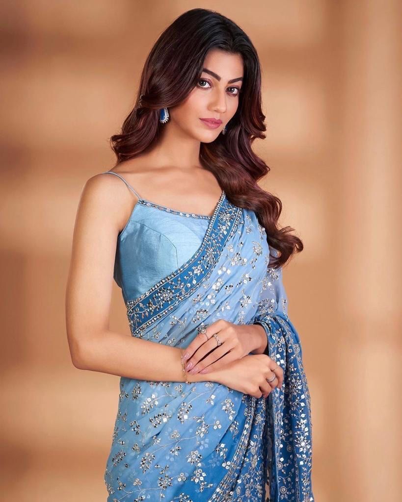 Sonam Georgette Saree - Fabric Type: Organza