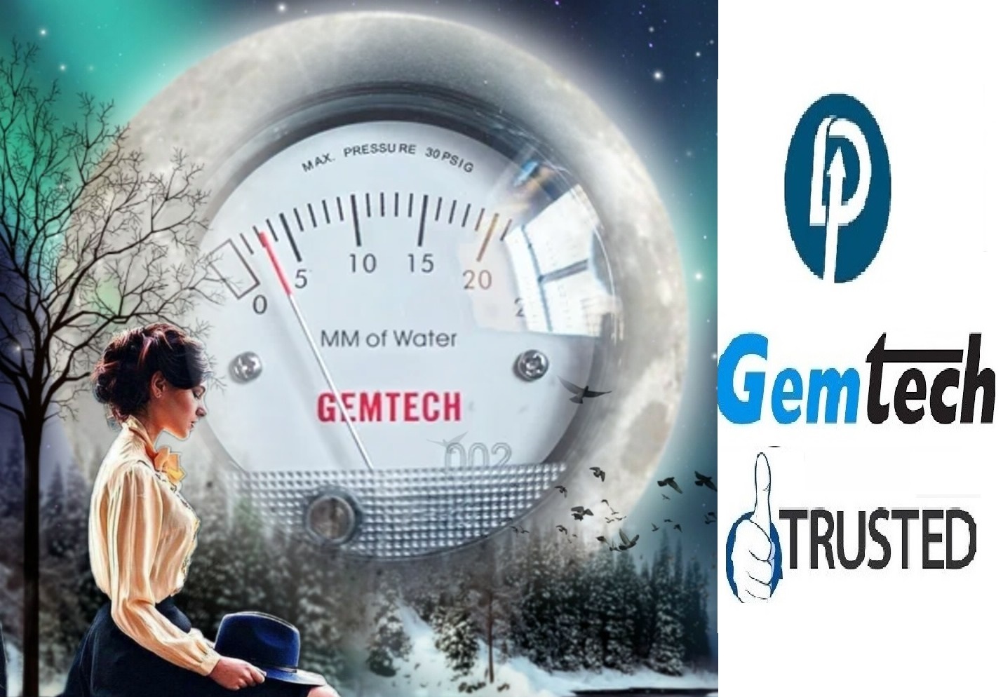 Gemtech Mini Differential Pressure Gauges By Bangalore Karnataka
