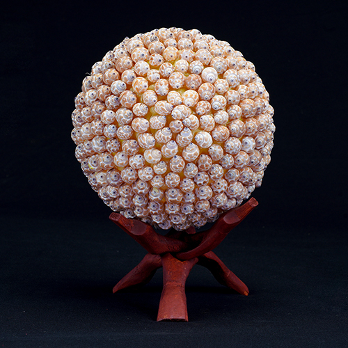 Pura Muttai Ball