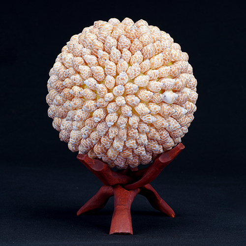 White Pura Muttai Ball