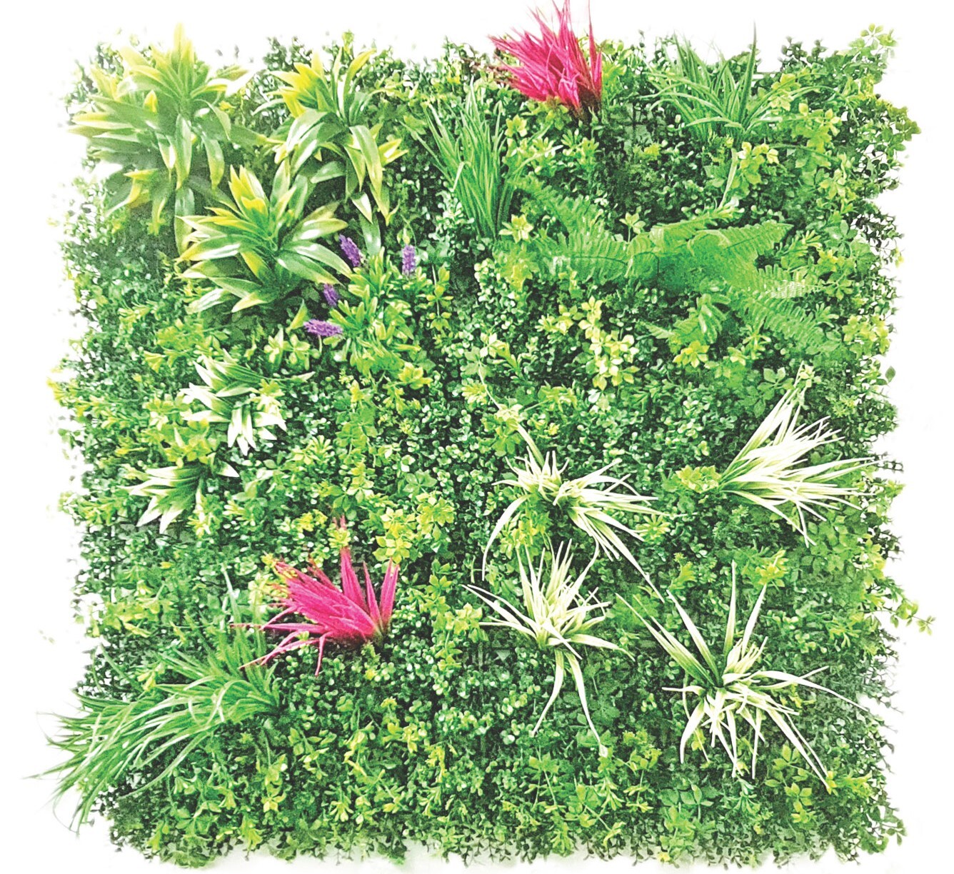 Green Walls - Design Type: Modern