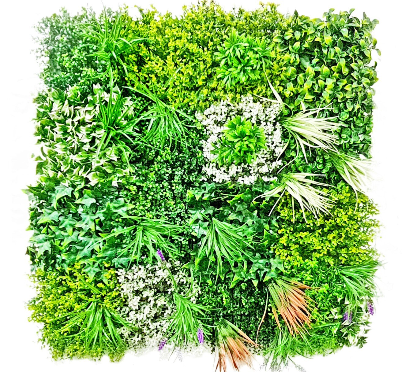 Green Walls - Design Type: Modern