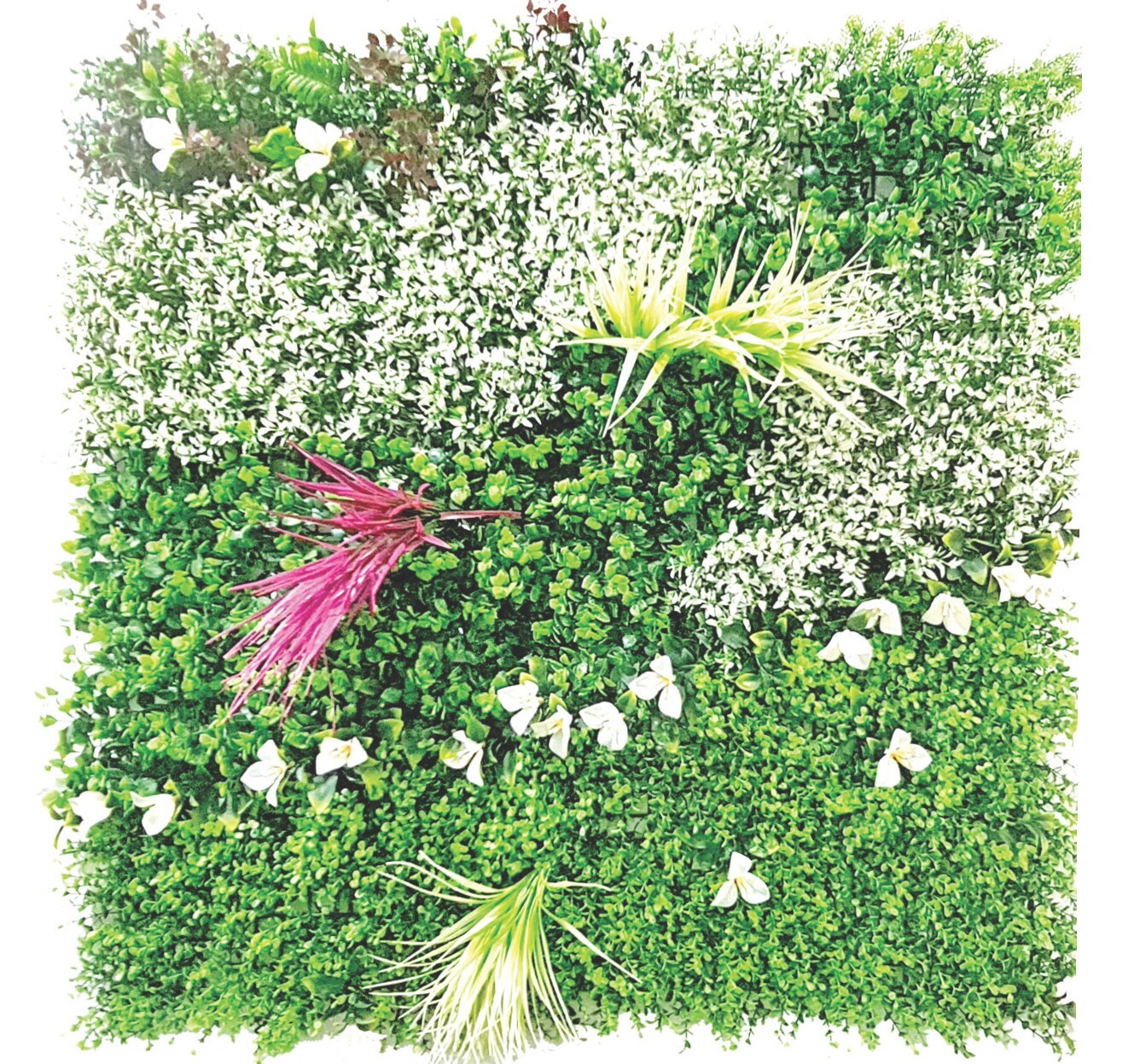 Green Walls - Design Type: Modern