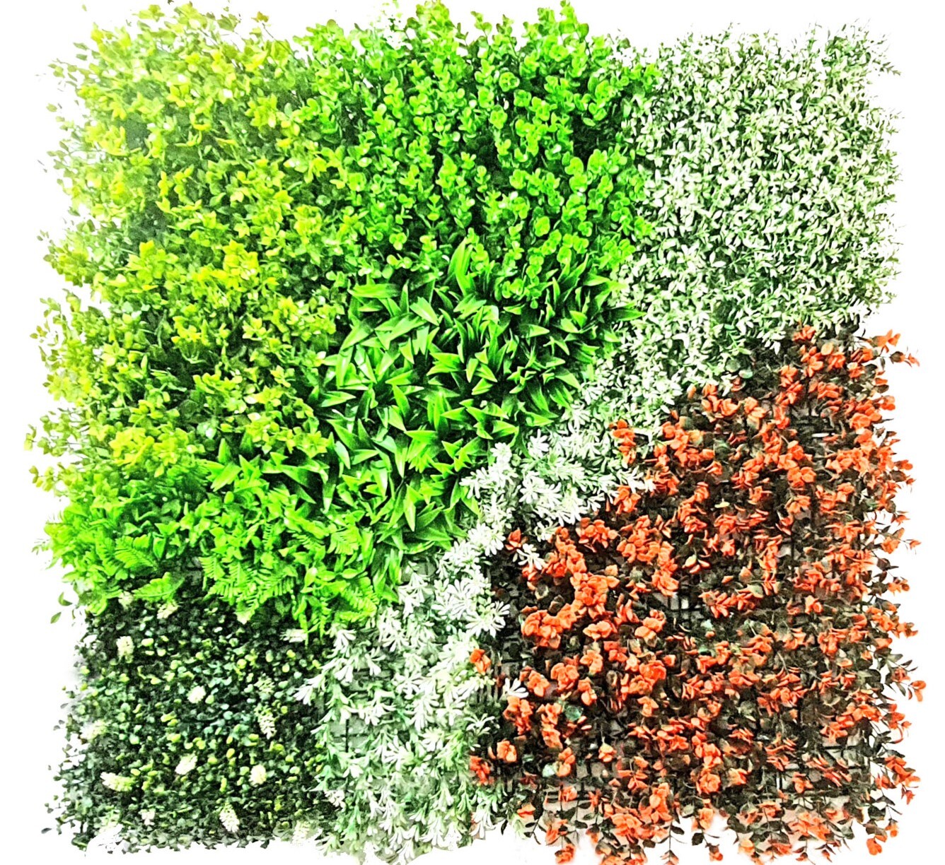 Green Walls - Design Type: Modern