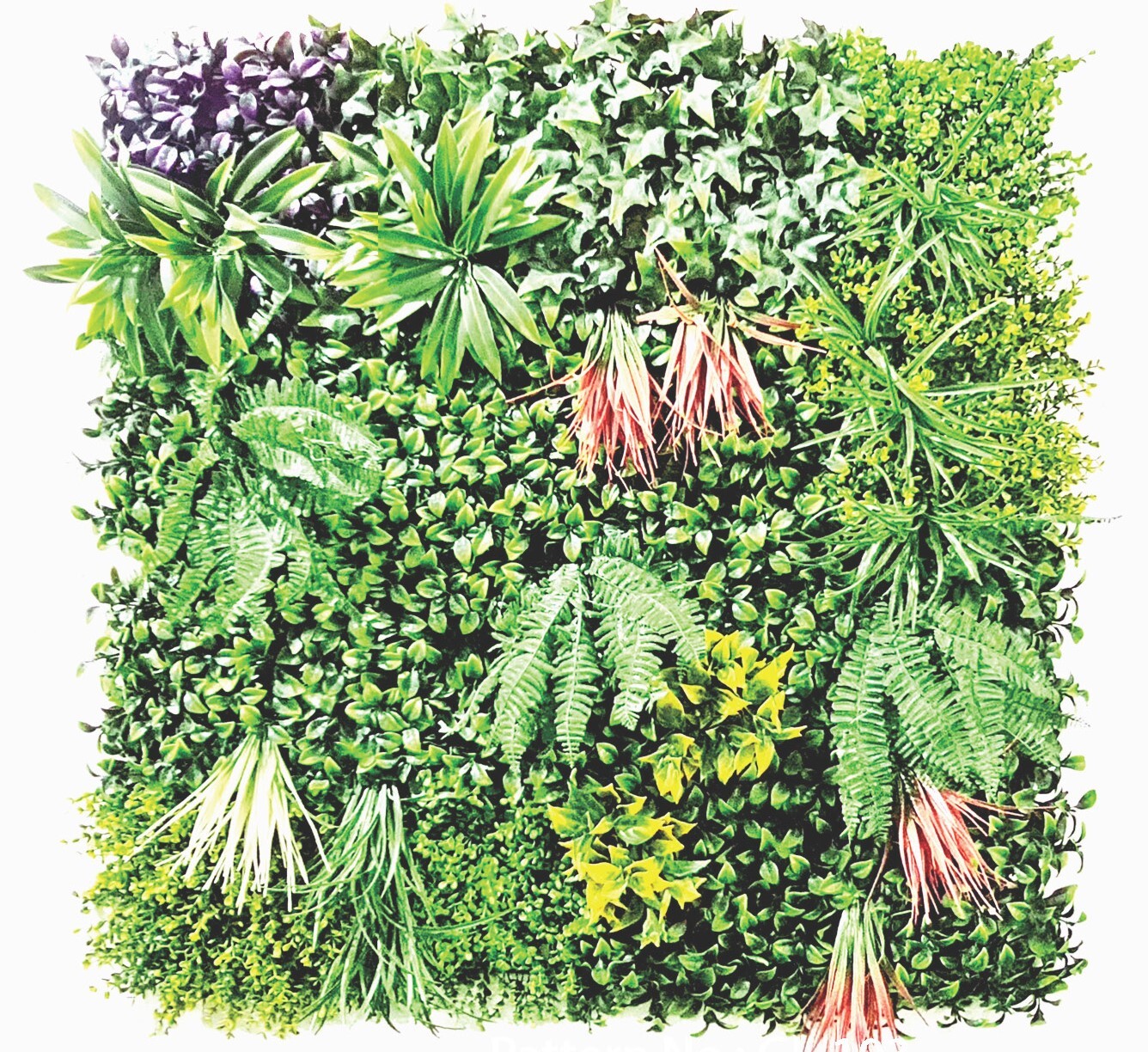 Green Walls - Design Type: Modern
