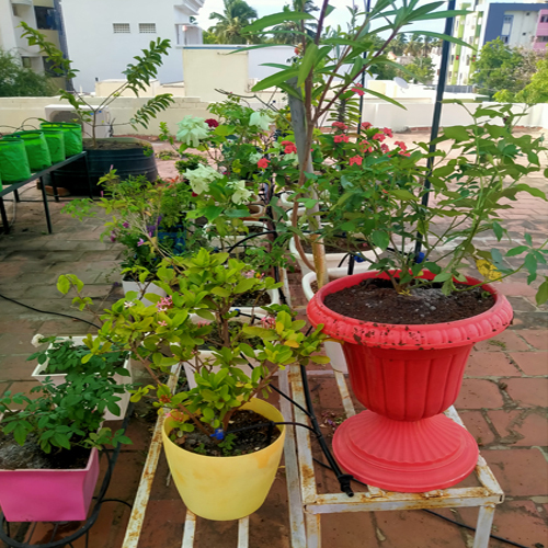 Modern Terrace Gardening Services