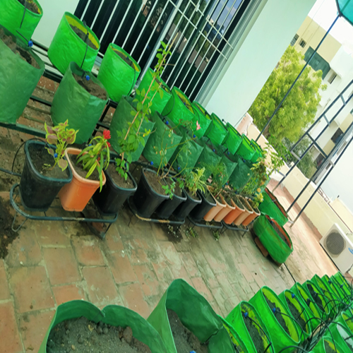 Modern Terrace Gardening Services