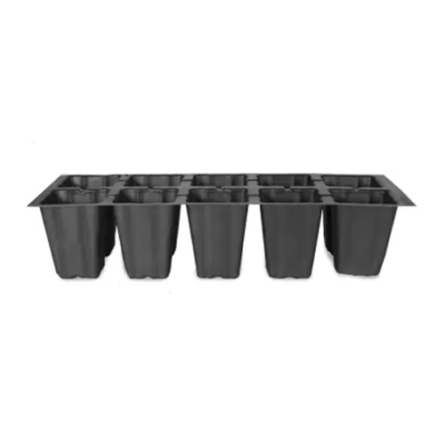 Black 10 Cavity Seedling Tray