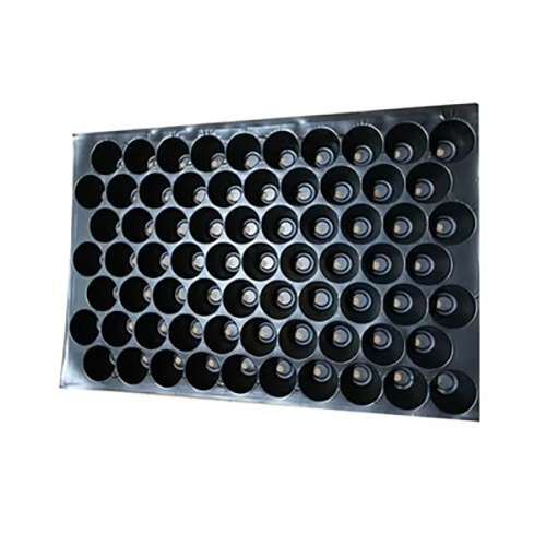 Black 70 Cavity Big Seedling Tray