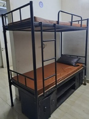 बंक बेड - नई गोल्डन फर्नीशर्स सीओ
