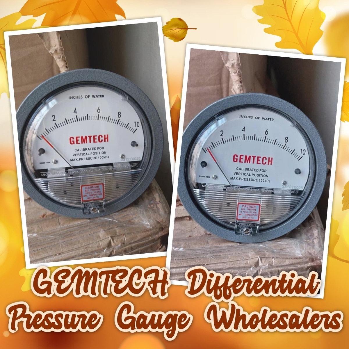 Series G2010 Differential Pressure Gauge Gemtech Range 0-10 Inch Wc