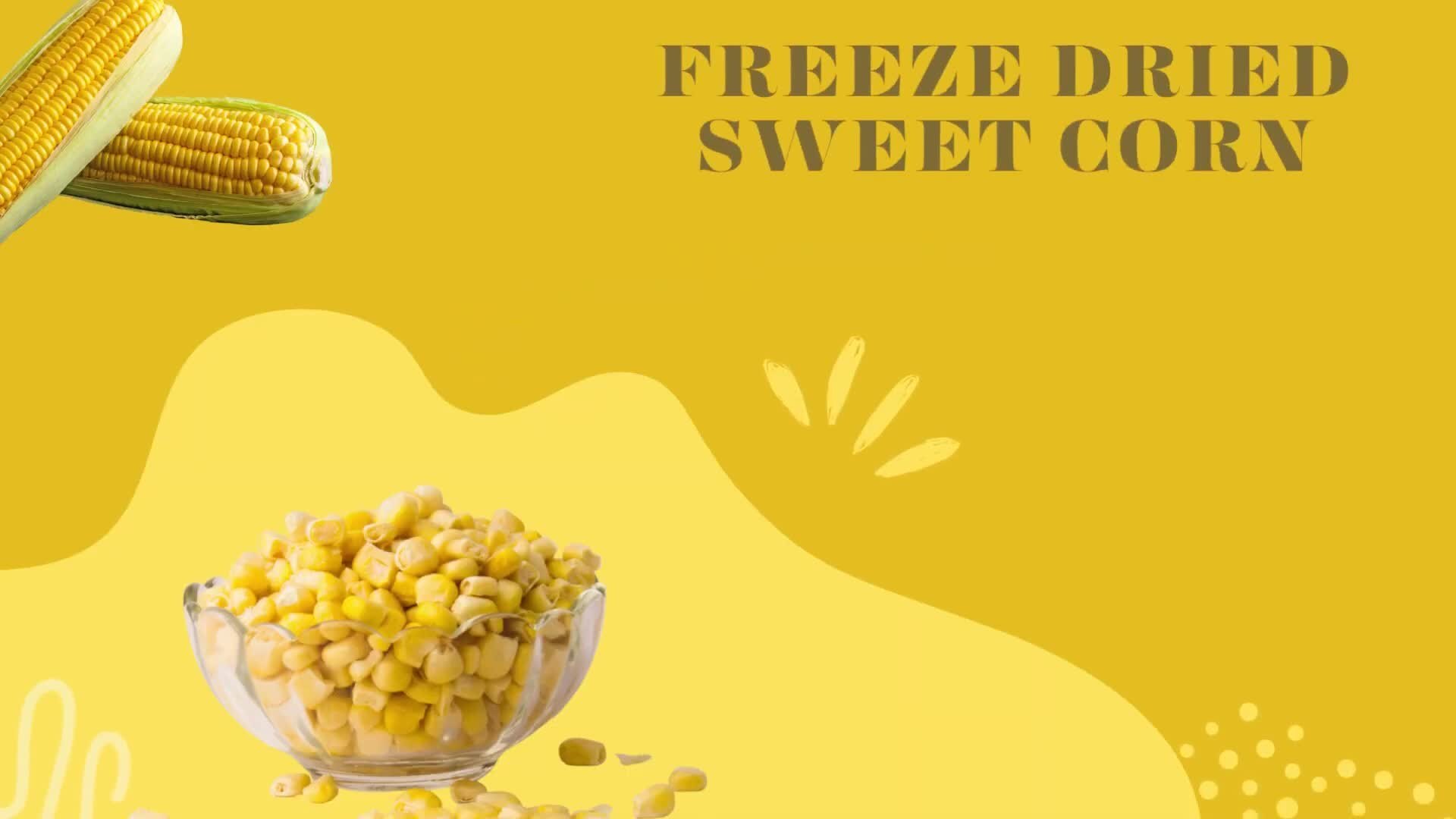 Yellow Freeze Dried Sweet Corn
