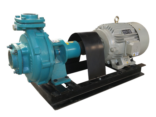 Centrifugal Monoblock Bare Pump - Color: Black