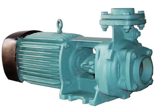 Centrifugal Monoblock Bare Pump - Color: Black