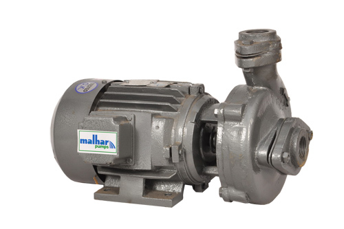Centrifugal Monoblock Bare Pump - Color: Black