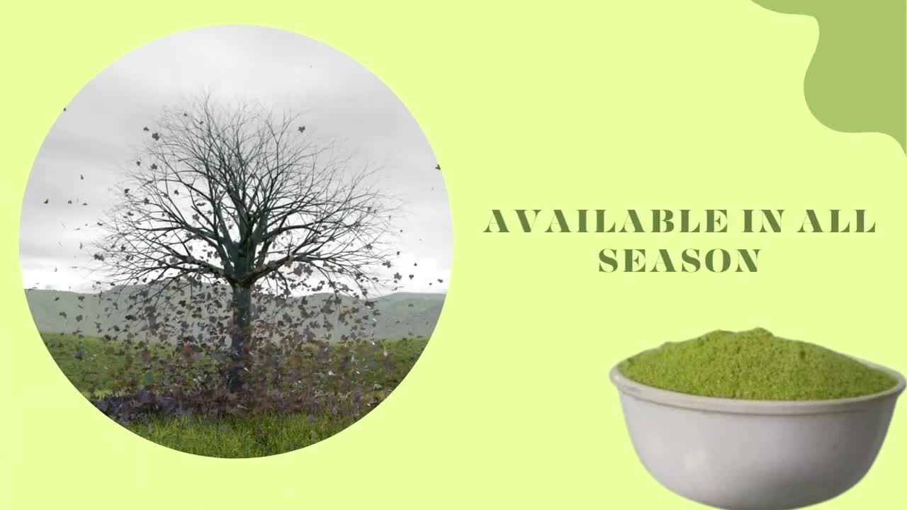 Freeze Dried Green Peas Powder Grade: A Grade