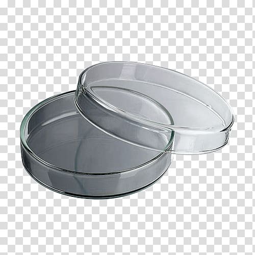 Petri Dishes - Dnase/rnase Free Ps, 90x15mm And 100x25mm Sizes, Unsterile & Sterile Options, Disposable, Portable, Manual Use