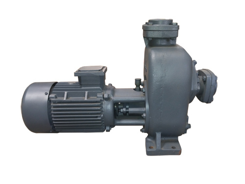 Ss Self Priming Cum Centrifugal Mud Monoblock Pump Application: Maritime