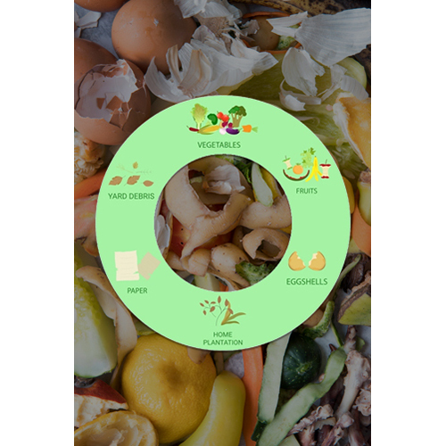 Industrial Vegetable And Fruit Processing Waste Services