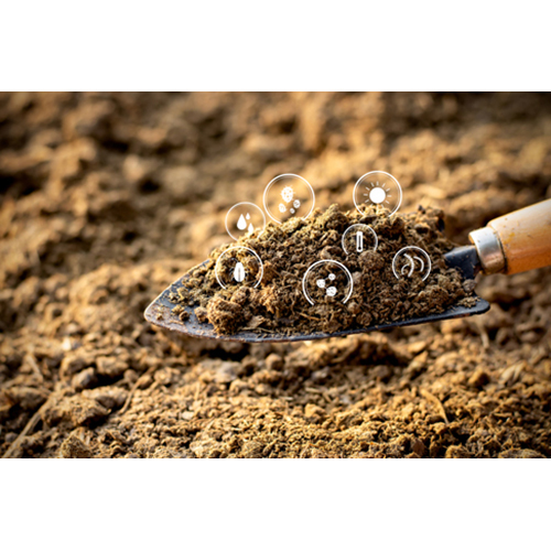 Organic Manure Production Services