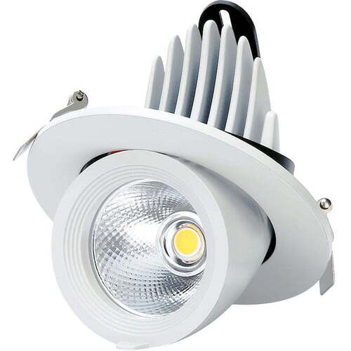 Led Zoom Light 15w (Cw) - Application: Industrial