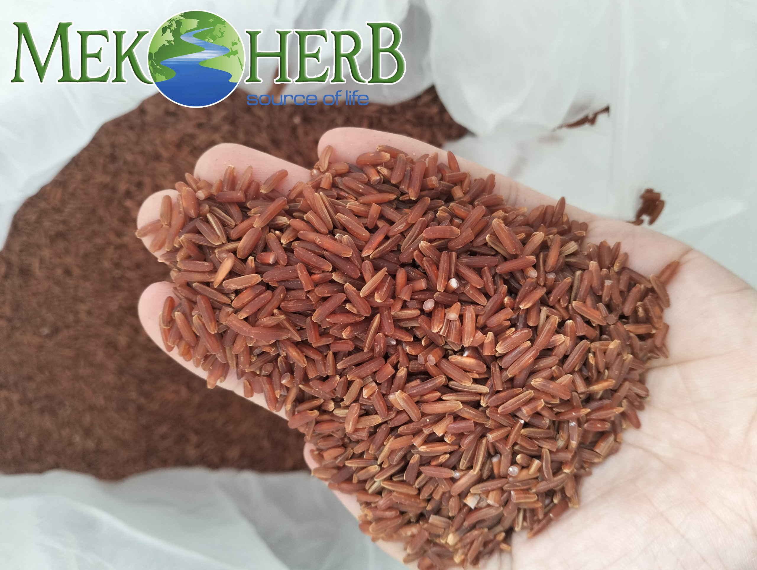 Red Rice