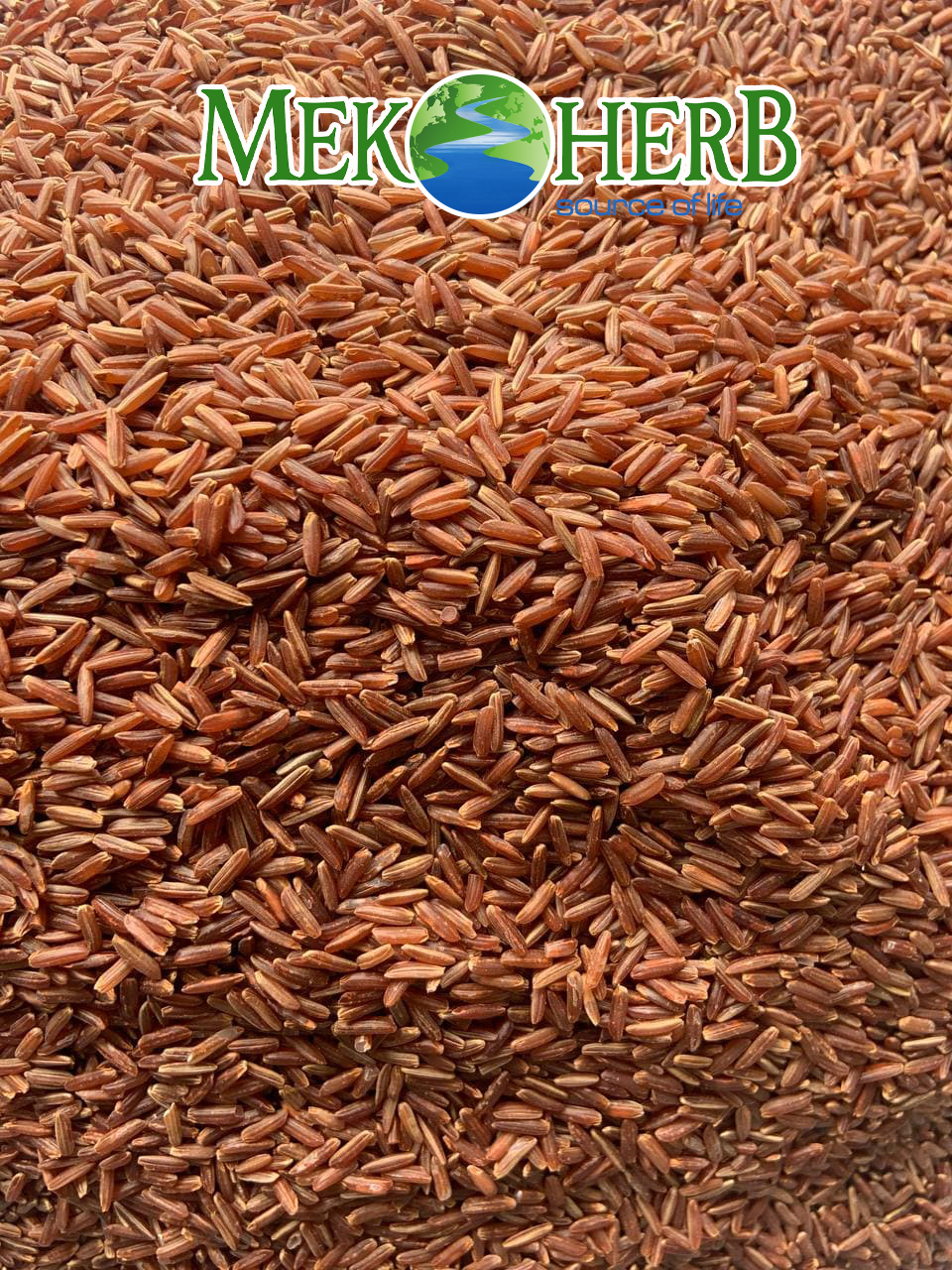 Red Rice