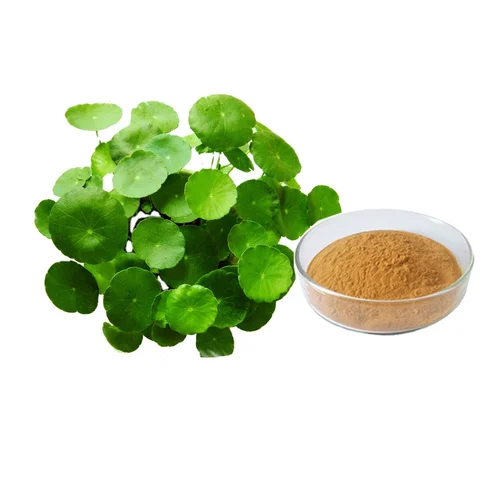 Centella Asiatica Extract Powder - Herbal Extract Formulation | Industrial Usage, Store in a Dry Place