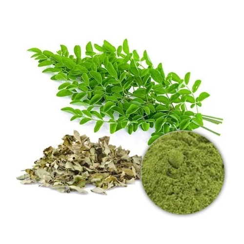 Moringa Leaf Extract Powder - Herbal Supplement Powder, 12 Months Shelf Life | Rich in Vitamins, Antioxidants, Ideal for Smoothies and Juices