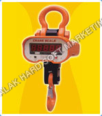 Crane Scale