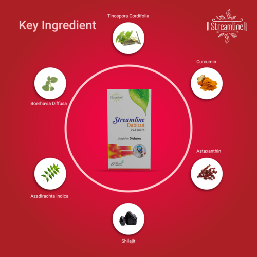 Dabicut Capsule For Diabetes - Product Type: Ayurvedic Medicine