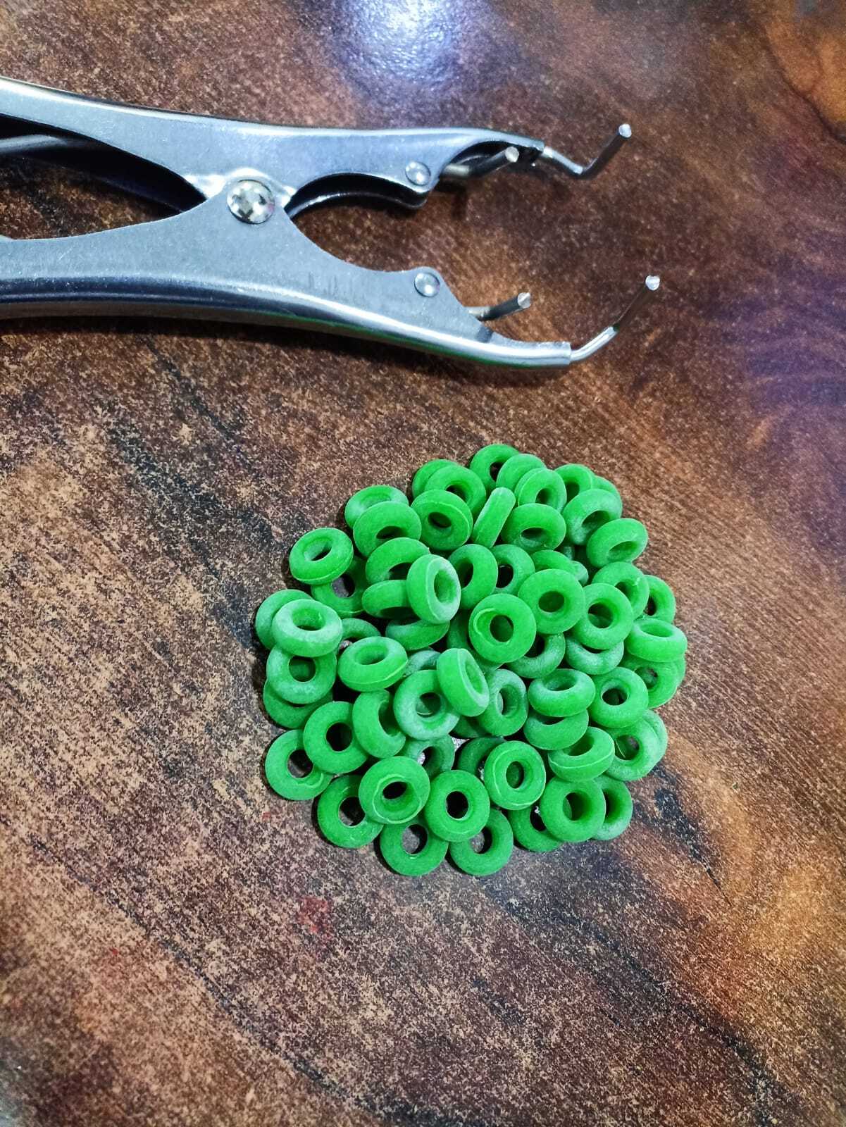 Ring Castrator With 100 Rings ( Ss )