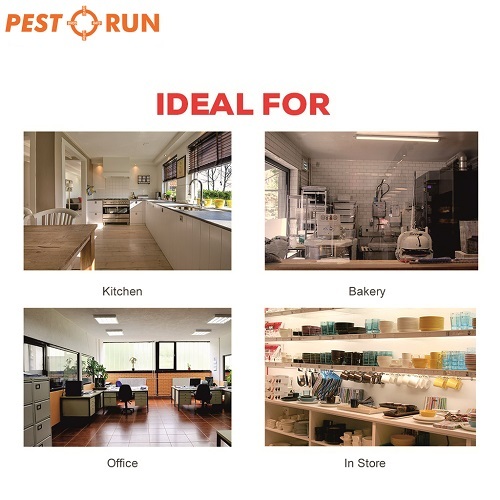 5 In1 Pest Repeller - Material: Abs