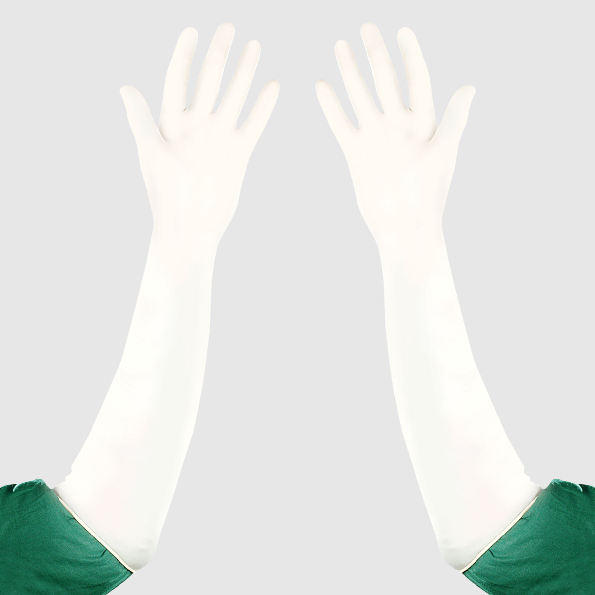 Long Sleeve Glove - Latex Material Disposable Use White Color Powdered Sterilized For Medical Applications | 1-year Warranty Extended Cuff Design