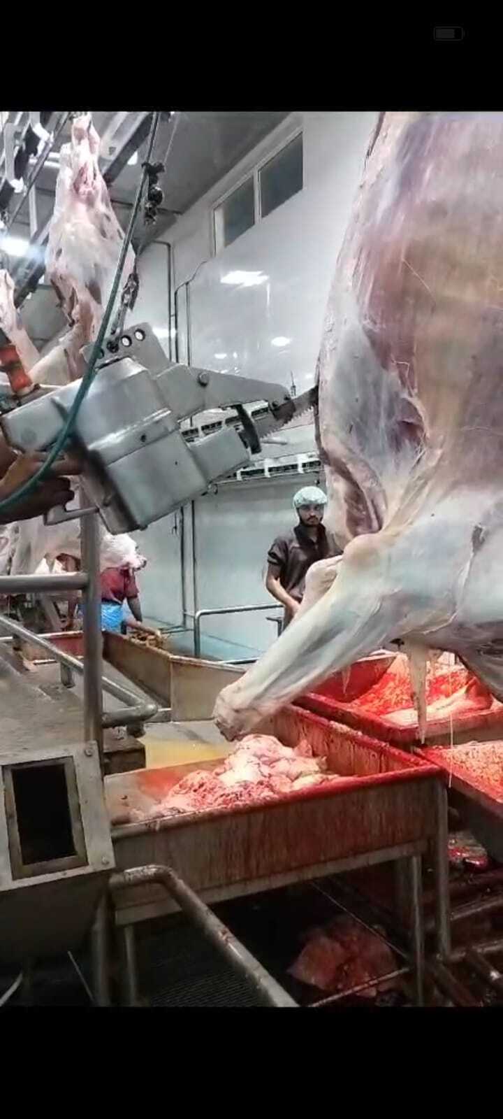 Meat Cutting Machine Blade Industrial