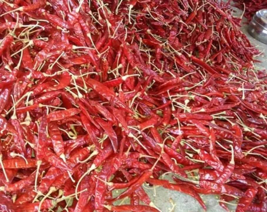 Dried Red Chilli - Raw First Class Pieces, Spicy Flavor, Bright Red Color, 1 Year Shelf Life, Ideal for Room Temperature Storage