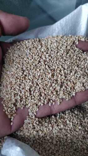 Sesame Seeds - Common Cultivation, 99% Purity, Grey Color, Fresh Style, Standard Size, 12 Months Shelf Life