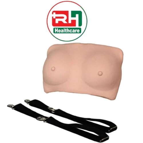 Breast Examination Model - PVC Material, Skin Color | Laboratory Use, No Power Required