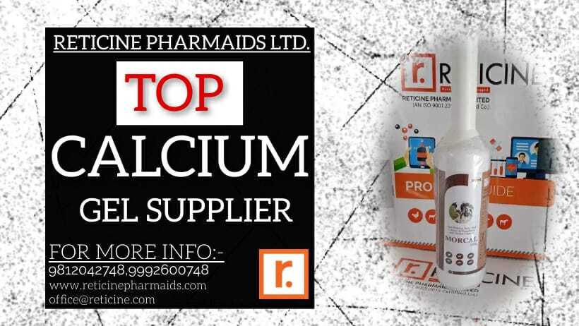 Feed Supplement Manufacturer In Sikkim