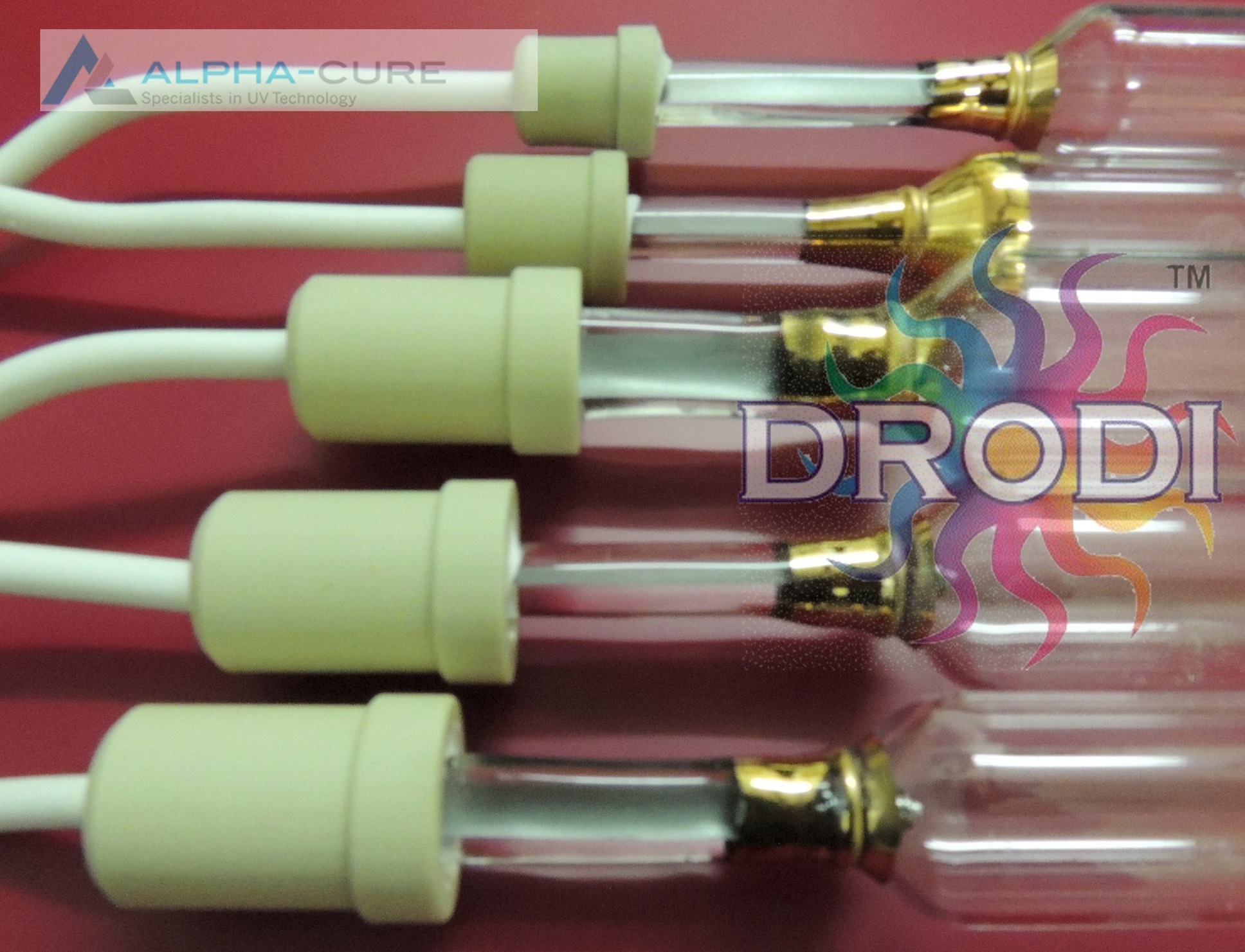 Uv Curing Lamp - Warranty: 1 Year