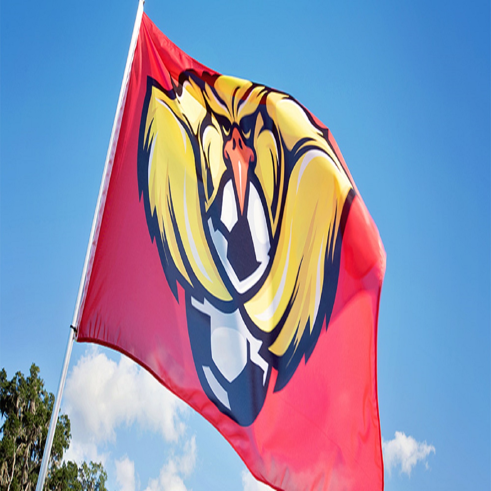 Custom Printed Flags - Flagpole Material: Plastic