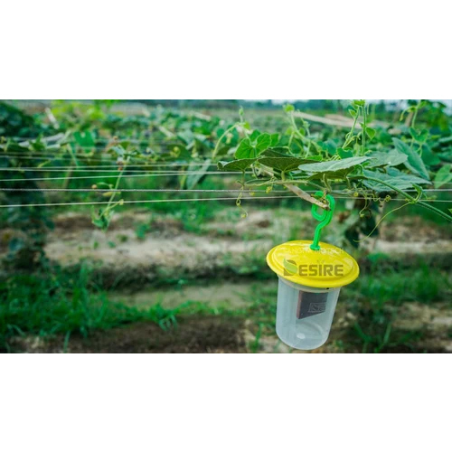 Yellow Soft Wood Pheromone Trap Agriculture